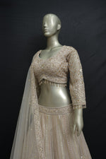 Load image into Gallery viewer, Elegant georgette crop top with chunni
