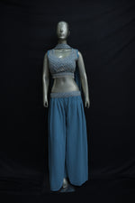 Load image into Gallery viewer, Sharara with top and chunni in light sky colour
