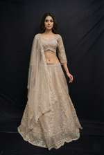 Load image into Gallery viewer, Crop top with chunni in cream georgette
